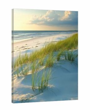 Vibrant green grasses growing on sandy dunes by the ocean.