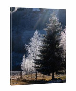 winter landscape with frozen trees with hoarfrost