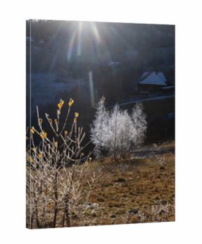 winter landscape with frozen trees with hoarfrost