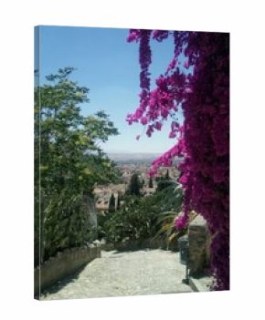 Stone staircase view of Granada city and plain below, framed by vibrant purple bougainvillea flowers and arid-climate green vegetation under clear blue sky