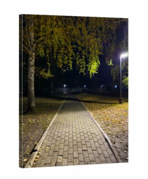 A brick walkway in a park with a street light on the right