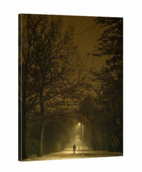 A back view of a person strolling through a park on a wintry night