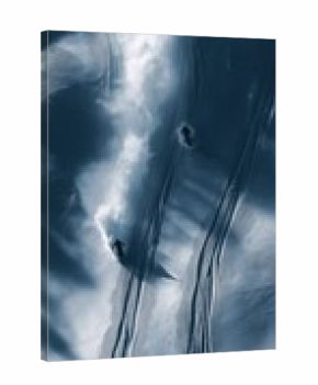 Freeride skiing. Two skiers descending a snowy mountain, kicking up powder snow and leaving tracks