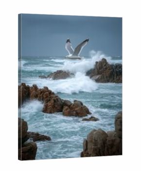 A seagull hovers above stormy Atlantic waves near rugged Irish cliffs under dramatic coastal skies.