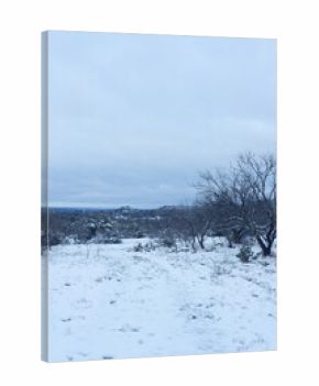 Texas winter landscape with snow weather in vertical view, calm and peaceful scenery