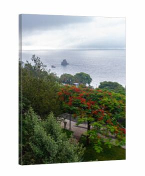 green Madeira Island