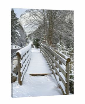 Winter magic in the Julian Alps. Lake Predile and the forests at its foot.