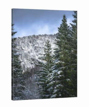 Winter magic in the Julian Alps. Lake Predile and the forests at its foot.