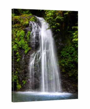 Le SDG waterfall in Martinique, France. The Saut du Gendarme waterfall is a splendid tourist spot in Martinique.