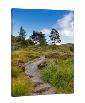 view of the heath and kiking area of the Djupadalen Nature Reserve near Haugersund in western Norway