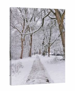 Winterlandshaft an der Alster in Hamburg