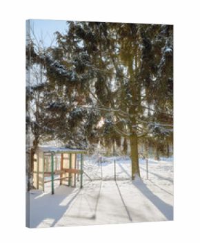 Tranquil winter countryside scene with a swing in the garden on a sunny day.