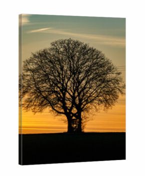 Hochsitz in einem Baum bei Sonnenuntergang