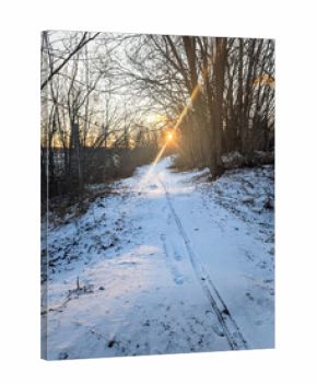 Golden winter sunrise over a snowy hiking trail in Paljassaare nature reserve, Tallinn, Estonia, with sun beaming through trees.