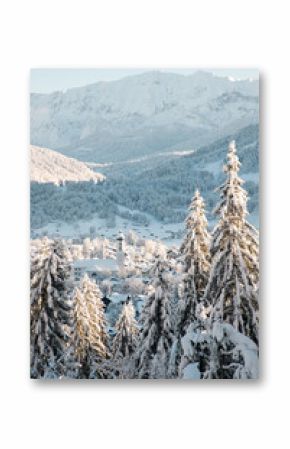 winter mountain landscape in the Alps with snow covered fir trees