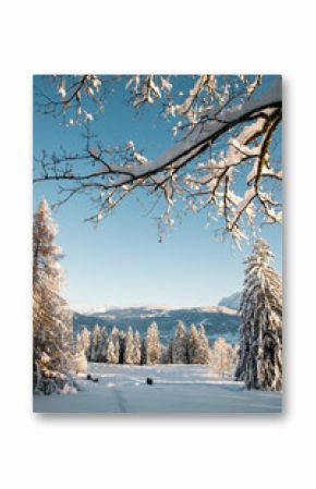 winter mountain landscape in the Alps with snow covered fir trees