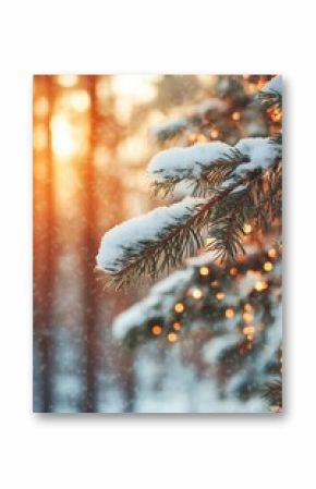 Close-up of a snow-covered pine branch with string lights in a winter forest.