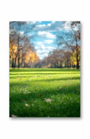 Vibrant grassy field in autumn with colorful foliage under a blue sky