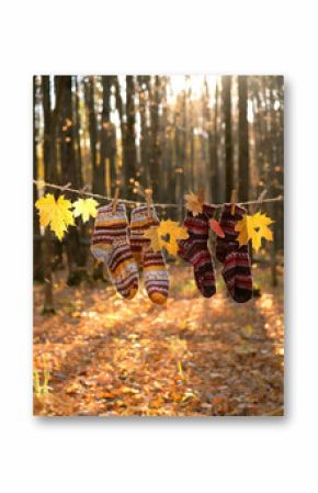 Autumn nature background. autumnal leaves and knitted socks hanging on rope in forest, natural sunny backdrop. symbol of fall season. copy space