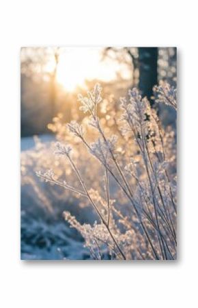 Frozen branches shimmer in the early sunlight, representing the beauty of a winter morning.