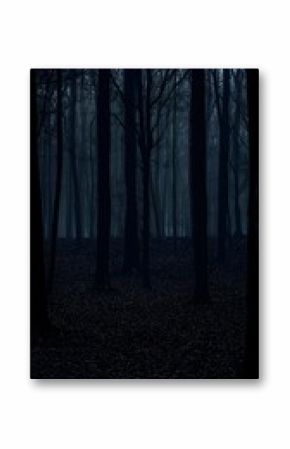 Mysterious Dark Forest with Stretching Shadows Symbolizing Nature s Depth and Enigma