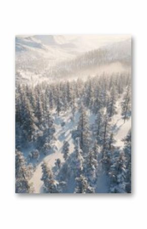 Drone photo of snow covered evergreen trees after a winter. Fantastic winter landscape. 