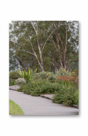 Australian Native Garden, NSW, Mount Annan Botanic Garden