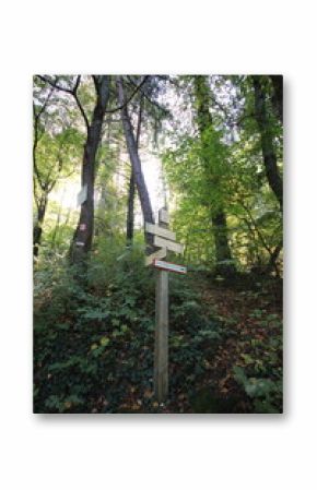 Départ de balade en forêt