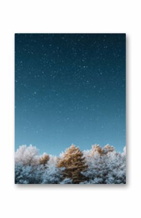 A serene winter landscape with snow-covered trees under a starry night sky, illuminated by gentle moonlight, creating a peaceful Christmas vibe for smartphone wallpaper.