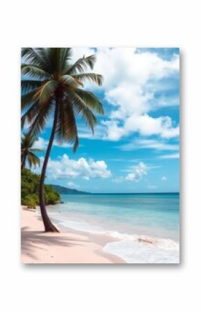 Beach Wallpaper of Beach in jamaica with tall palm tree on caribbean sea montego bay beach wallpaper summer wallpaper beach background tropical nature