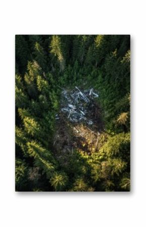 Dense forest conceals airplane debris among tall trees in remote wilderness. Generative AI