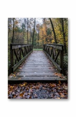Wooden bridge in serene autumn forest surrounded by vibrant fall foliage : Generative AI