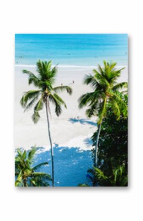 Serene beach landscape on Koh Kood Island Thailand featuring tall palm trees and soft white sand. Visitors enjoy the tranquil turquoise waters on a sunny day, creating a perfect tropical getaway.