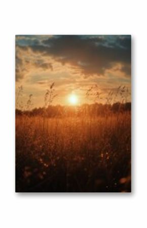 Golden Sunset Over a Grassy Field With Clouds in the Evening Sky