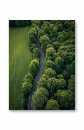 A Beautiful Winding Road That Cuts Through Lush Green Landscape Aerial View of Natures Serene Landscape