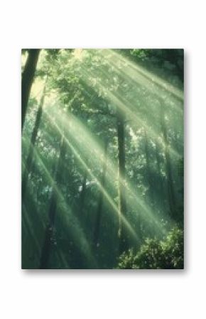 A Serene Forest teeming with Life, where Sunlight Beams Filter Gently Through Lush Green Trees all around