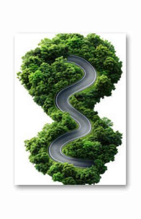 Curvy road winding through dense green forest