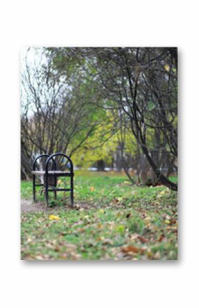 Empty Bench in Tranquil Autumn Park with Pathway and Bare Trees in the Background