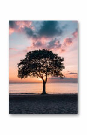 Silhouette of a Tree on a Beach at Sunset