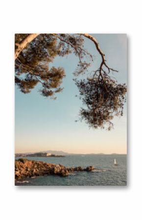 côte, littoral rocheux à Bandol le long de la mer Méditerranée dans le Var sur la Côte d'Azur en France