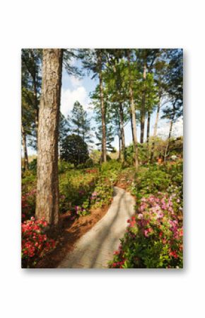 Azalea gardens, in Raleigh North Carolina