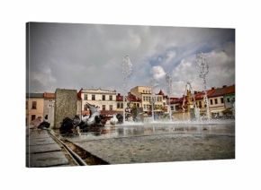 Gołębie  na rynku  żywcu