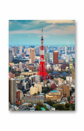 Tokyo city view visible on the horizon
