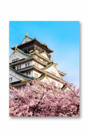Zamek Osaka z kwiatem wiśni. Japonia, kwiecień, wiosna.