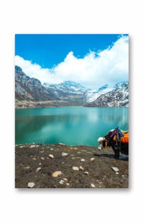 Tsangmo Lake in Sikkim, India