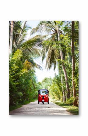 Red tuk-tuk under the palm trees on the country road