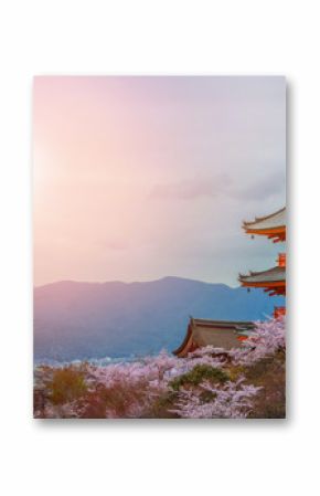 Evening. Pagoda with sky and cherry blossoms on the background.