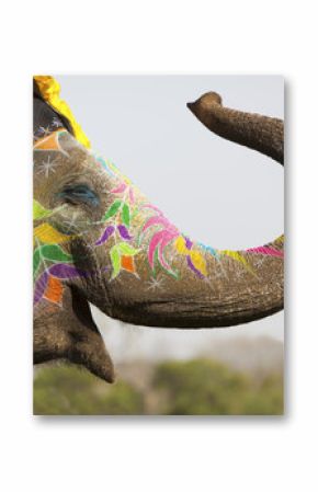 Fototapeta Ozdobiony słoń na festiwalu słoni w Jaipur duża