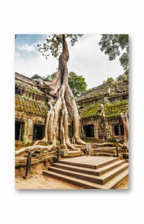 Ta Prohm Temple, Angkor, Cambodia