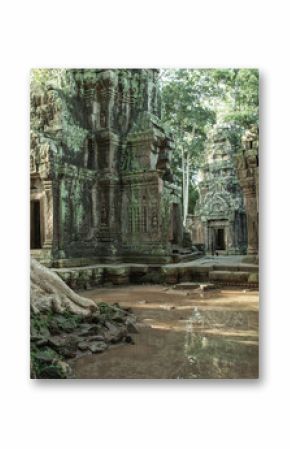 The ruins of Ta Prom Temple, Siem Reap, Cambodia.